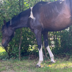 ecole naitre et sens equi sophrologie 2
